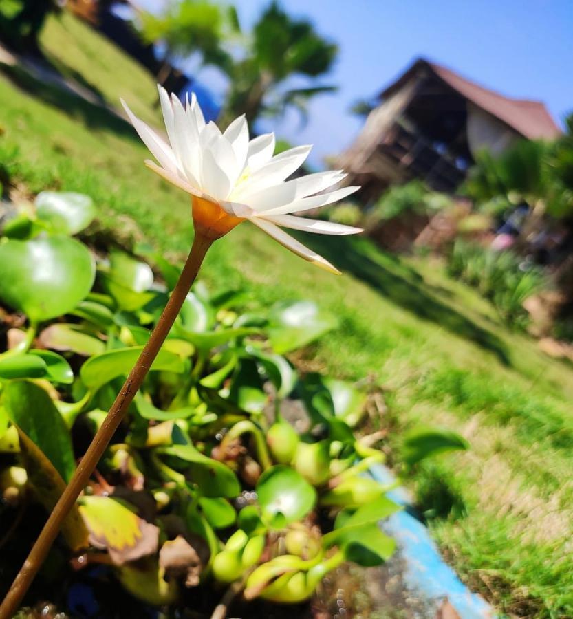 Lotus Sutra Hotel Арамбол Екстериор снимка